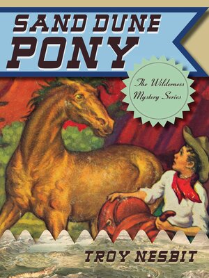 cover image of Sand Dune Pony